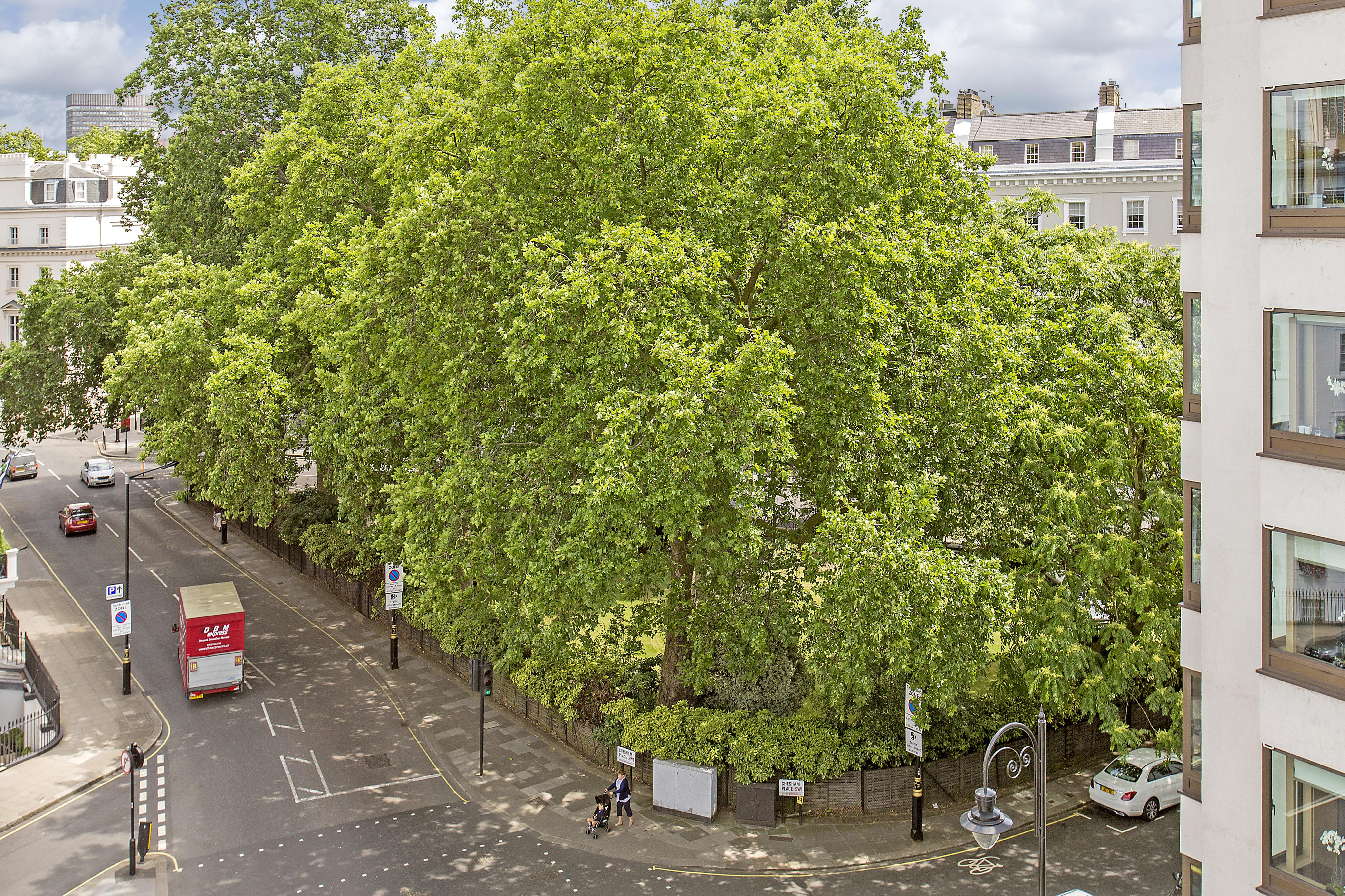 אפרטהוטל לונדון Chesham Court Knightsbridge מראה חיצוני תמונה